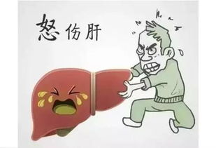 生气会产生这7种危害,千万别生气了