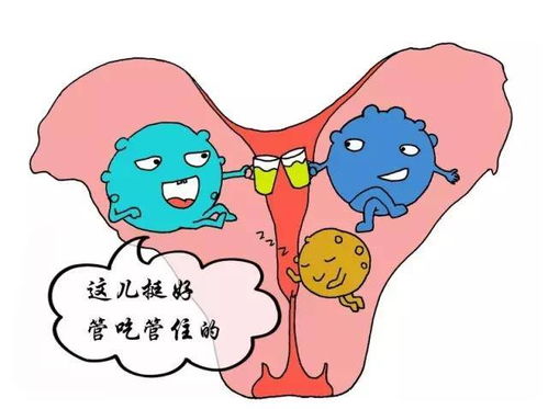 注意 雌激素分泌异常危害多,当心也会致不孕