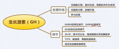 生理学思维导图,医学生收藏