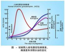 不孕不育医院专家谈血HCG值临床意义【1】-母婴频道-手机