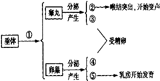 如图是人体血液中某物质含量变化情况.Ⅰ.Ⅱ.Ⅲ.Ⅳ表示血液流经的器官或结构.下列说法正确的是( )A.若该物质为氧气.则Ⅲ表示组织细胞B.若该物质为二氧化碳.则Ⅰ表示肺部毛细血管C.若该物质为尿素.则Ⅲ表示肾单位D.若该物质为营养物质.则Ⅰ表示小肠 题目和参考答案
