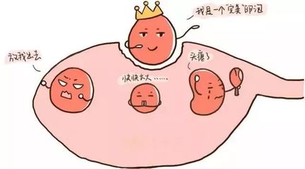 好消息!省人医生殖医学中心专家8月17日来市一院坐诊啦!