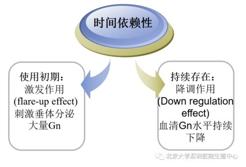 辅助生殖助孕中的促排卵方案