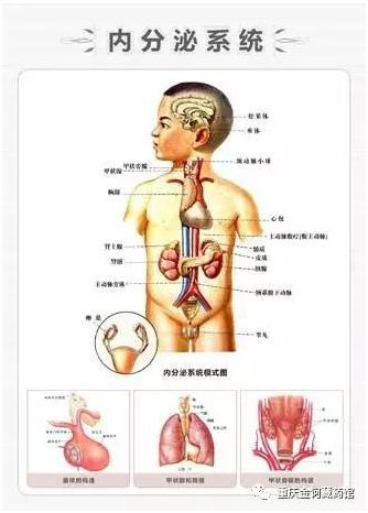 人体发病八大顺序,赶紧看看你到哪一步了