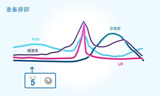 动物有固定“发情期”,人类却随时都可以,为何我们这么特殊?