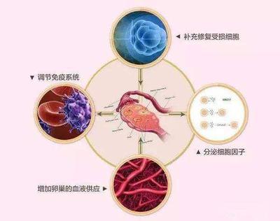 卵巢早衰怎么调理,试试龟巢膏,轻松恢复卵巢功能