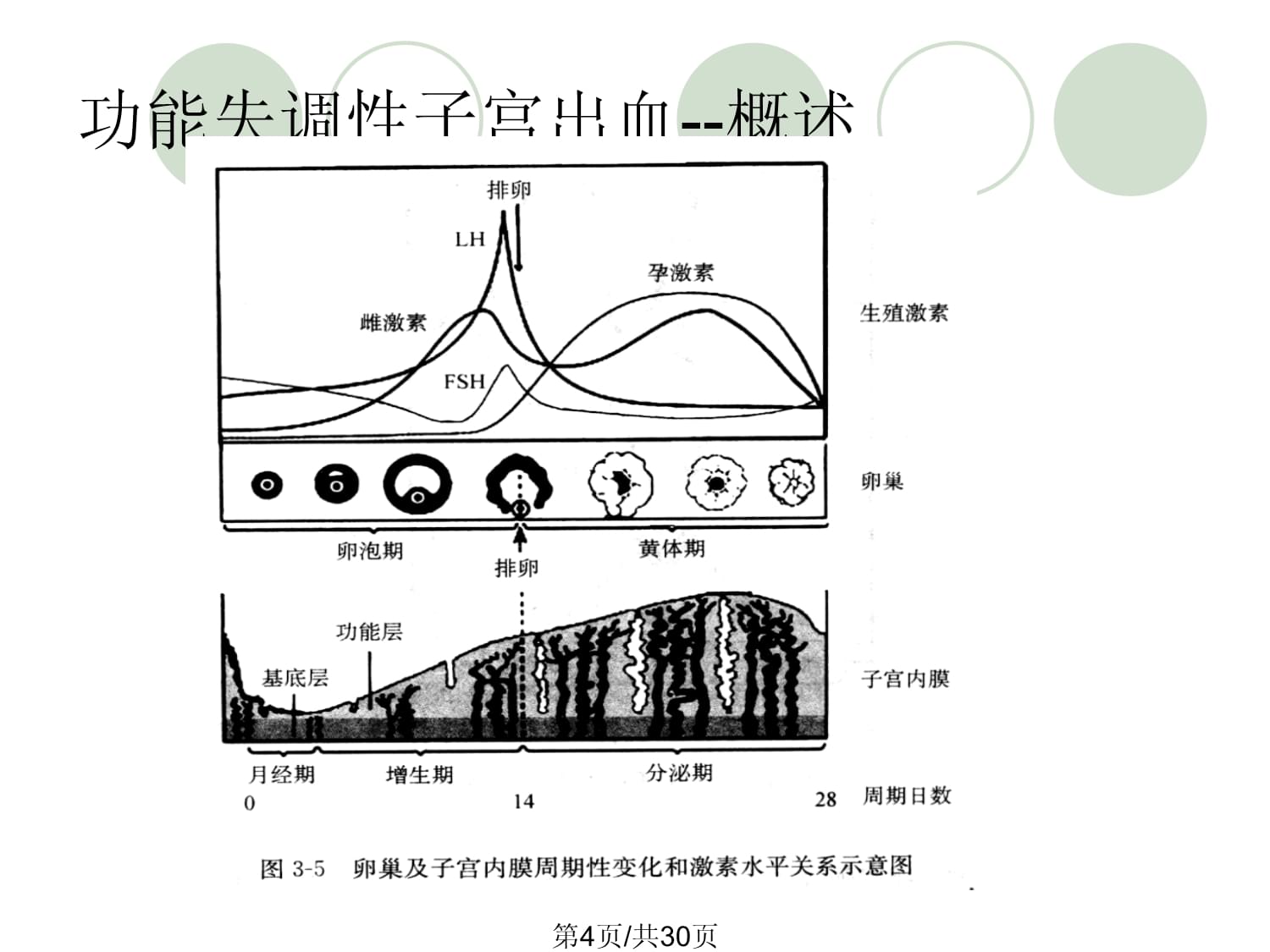 功能失调性子宫出血营养治疗