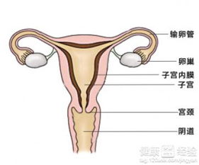 围绝经期出血是不是子宫内膜癌有哪些表现