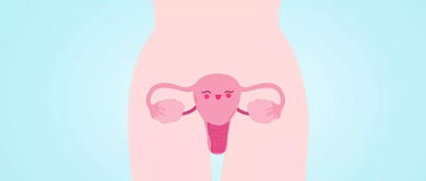amh 女性卵巢生殖功能评估的 c位 激素