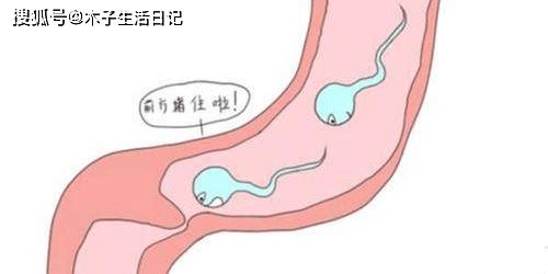 晋中博仕 男性少精症发生的原因你知道吗 科学避开