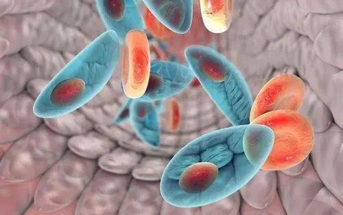 困扰多年的生殖器溃疡,竟是因为生殖激素失衡