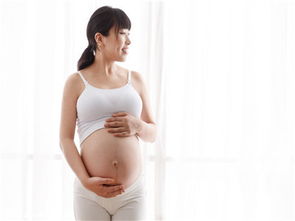 试管婴儿为何也会发生宫外孕?医生解析与生殖激素的作用