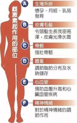 父母过度奖励诱发悲剧，宁波12岁男孩因激素问题长出B罩杯深感自卑